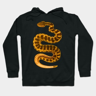 serpent,cobra,reptile,viper,venom,lizard,rattlesnake,king cobra,dragon,hydra,poison,venomous,plumber's snake,pythonidae,pythons,auger,python,squamata,serpentine,worm,big,ophidian,rattlesnakes,medusa,snakebite Hoodie